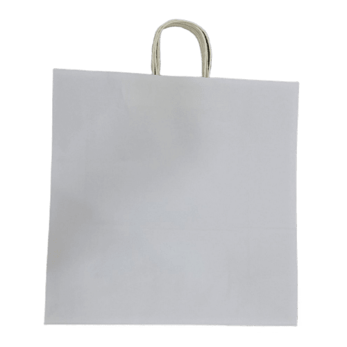100 paper bags with handles 2025